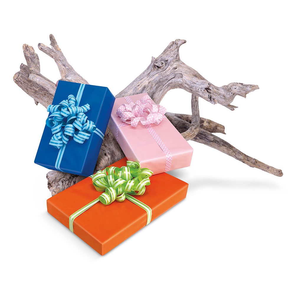 lebez-righe-pois-nastro-regalo-10-m-box-10-pezzi image 4