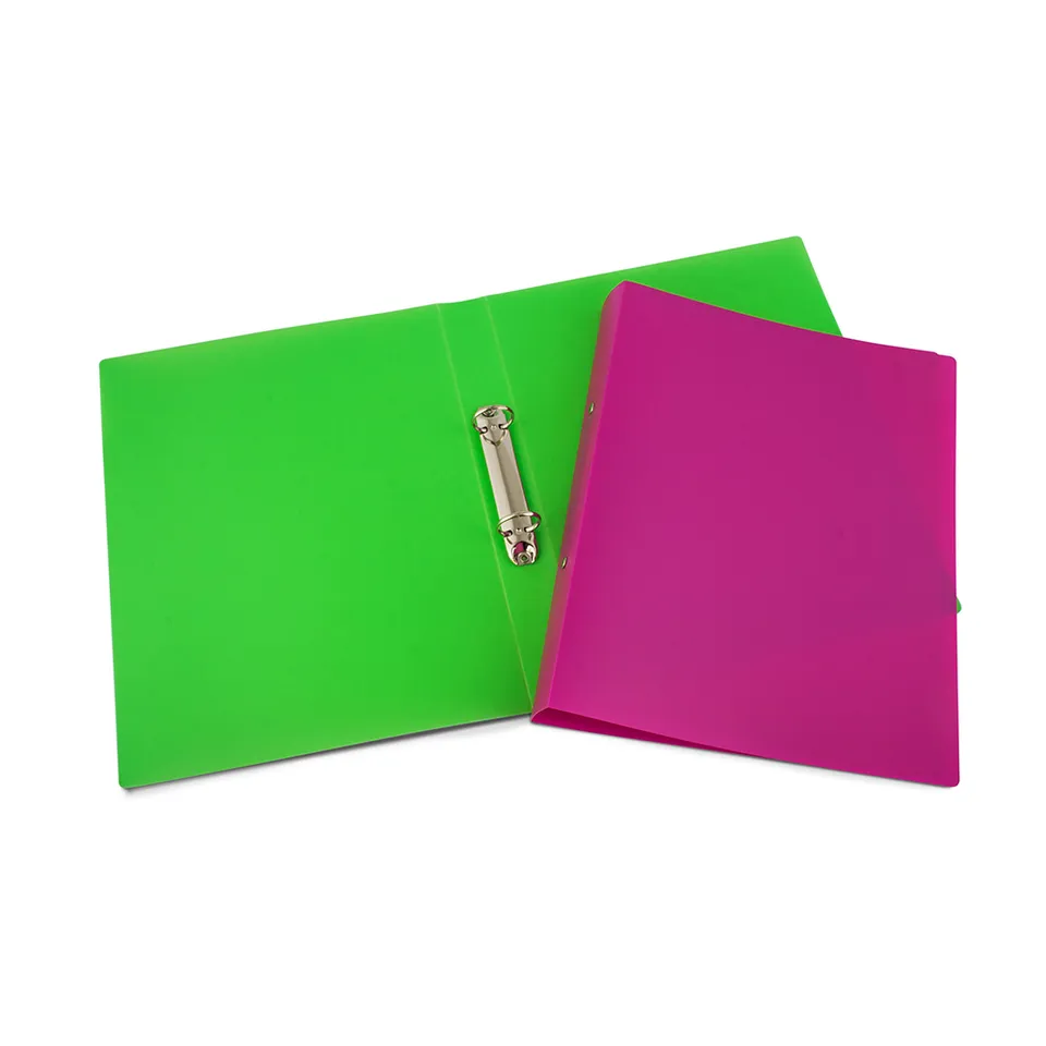 lebez-raccoglitore-2-anelli-25-mm-24-5x31-5-cm image 1