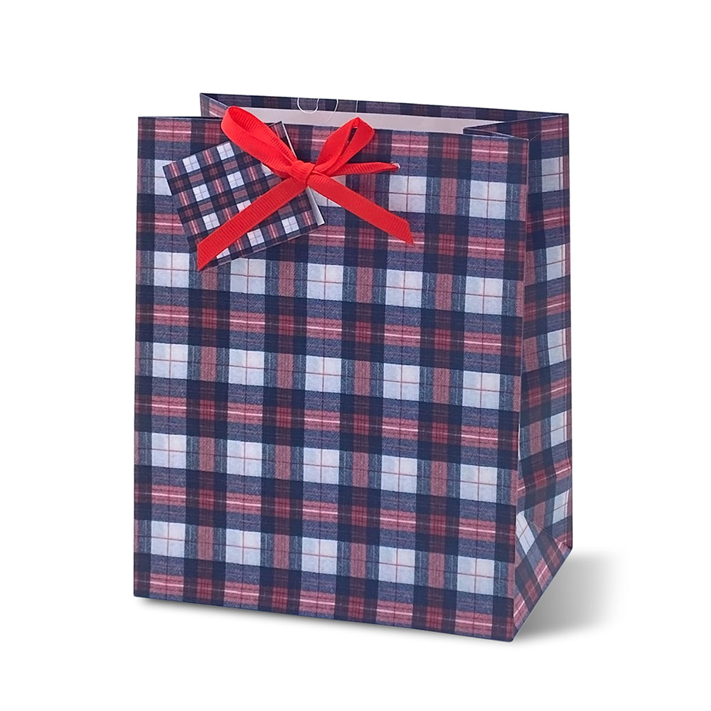 lebez-shopper-regalo-vichy-con-manico-e-biglietto image 2