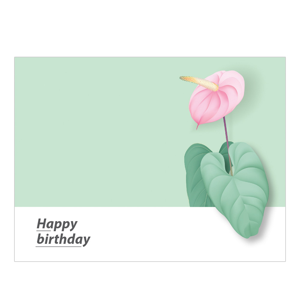 lebez-biglietti-auguri-fantasia-8x6-cm-box-100-pz-con-busta image 1
