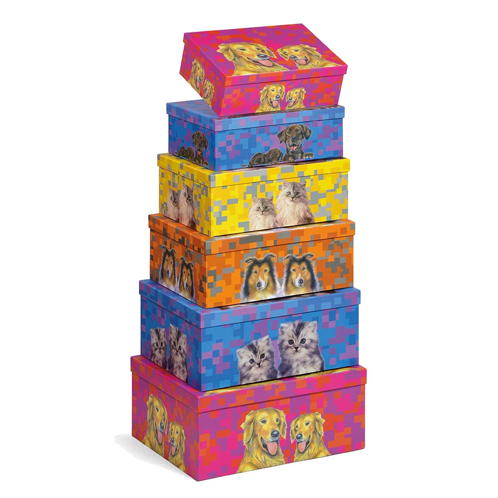 lebez-set-6-scatole-animals-in-cartone-plastificato image 1