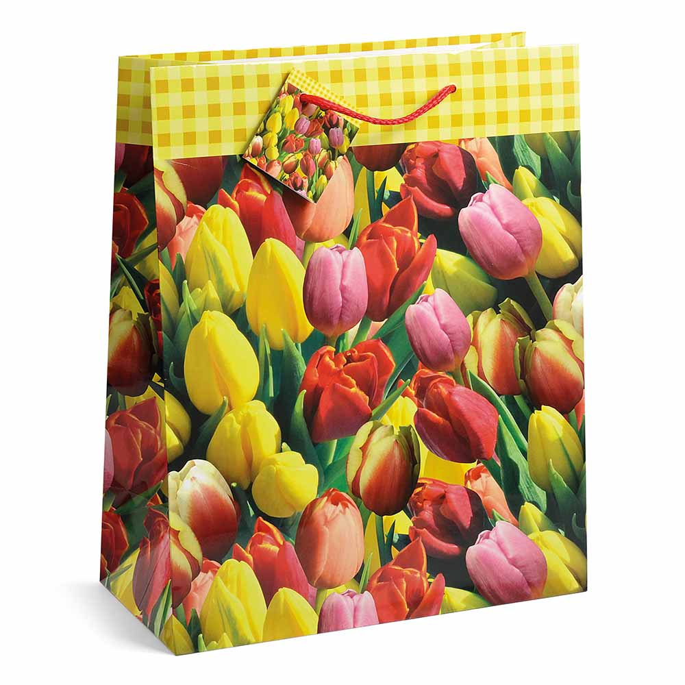 lebez-spring-gift-bag-26x32x12-7-cm-in-carta-patinata-lucida image 6