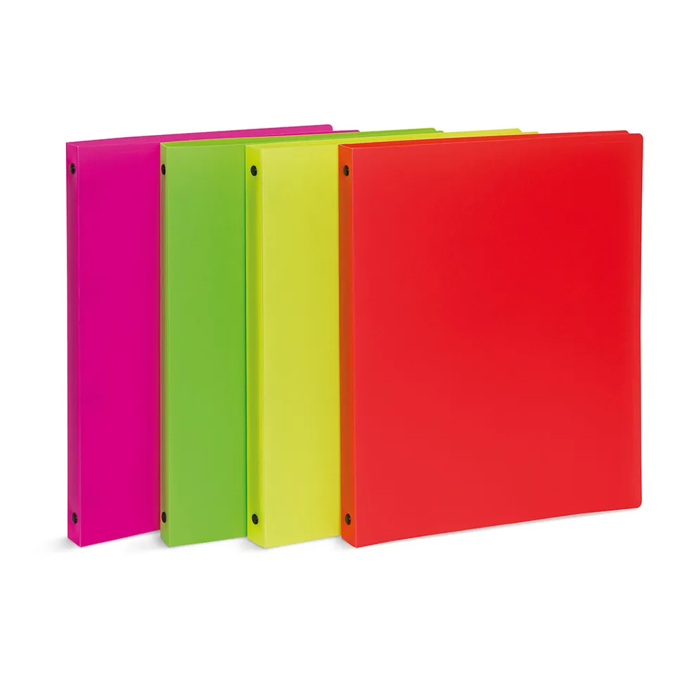 lebez-raccoglitore-a4-4-anelli-30-mm-linea-neon image 1
