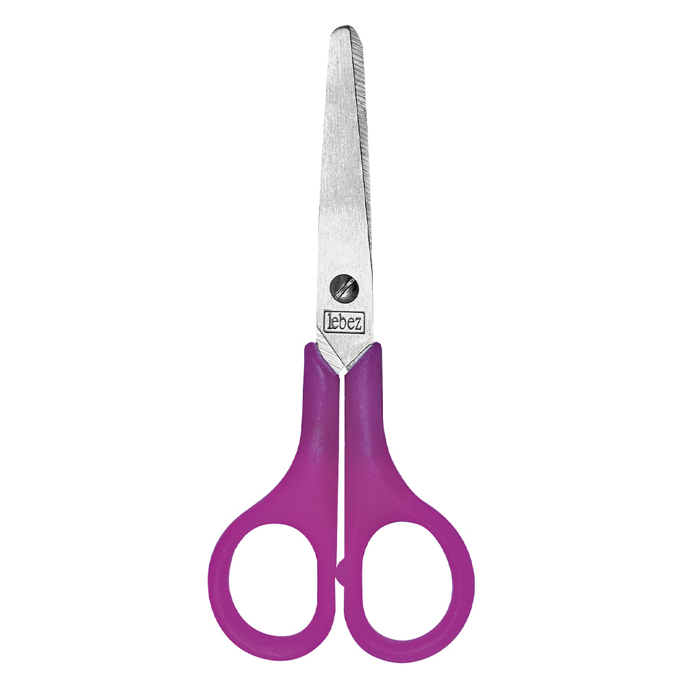 lebez-forbici-in-acciaio-inox-12-5-cm-punta-tonda image 2