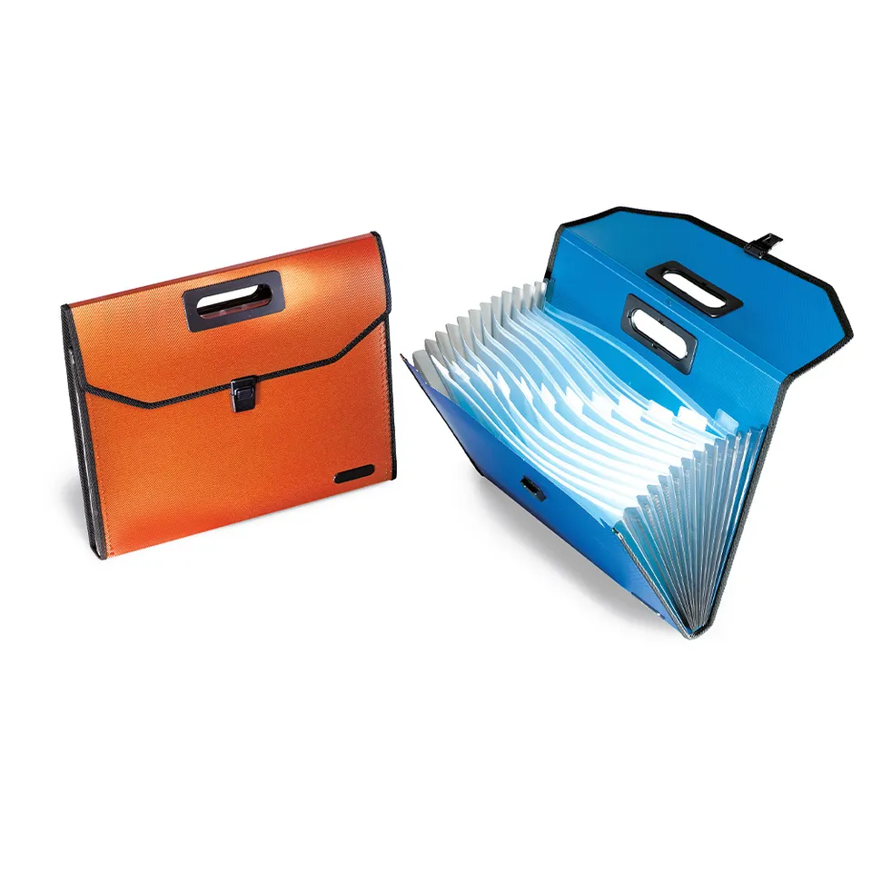 lebez-classificatore-portadocumenti-pp-13-scomparti-39x30x4-cm image 1