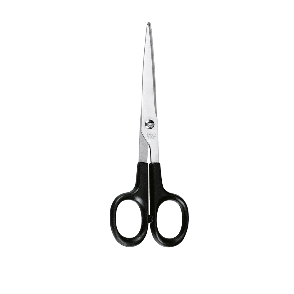 lebez-forbici-acciaio-inox-17-cm-impugnatura-abs image 2