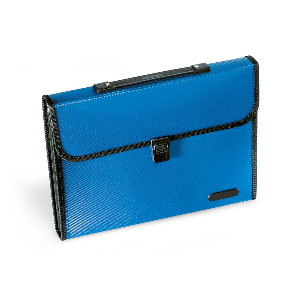 lebez-classificatore-portadocumenti-pp-13-scomparti-33-5x23-5x4-cm image 1